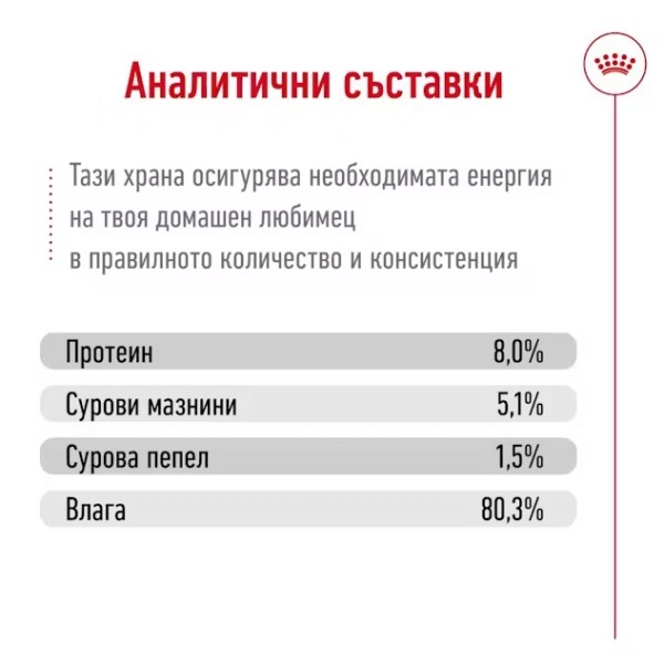 Royal Canin Mini Adult Ageing 12+ - Паучове за възрастни кучета от дребни породи